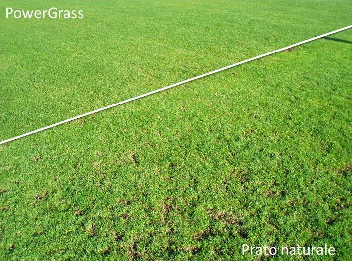 Borussia Park - Test PowerGrass